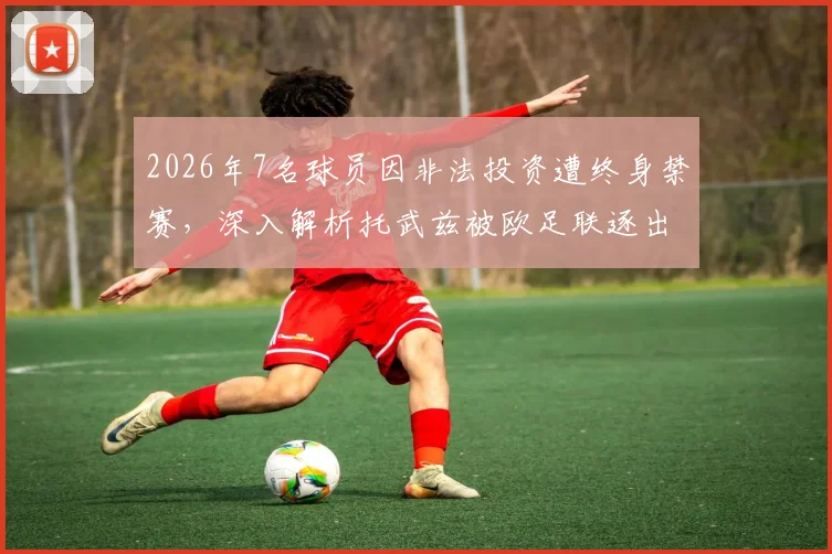 2026年7名球员因非法投资遭终身禁赛，深入解析托武兹被欧足联逐出下赛季欧战具体原因与影响